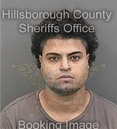 Juan Reyesreyes, - Hillsborough County, FL 