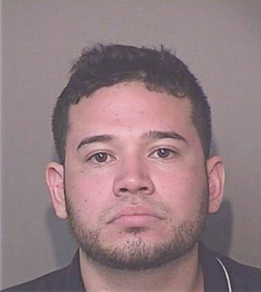 Cesar Silva-Fernandez, - Osceola County, FL 