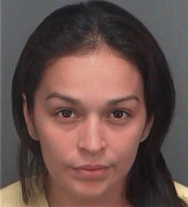 Carol Stanton - Pinellas County, FL 