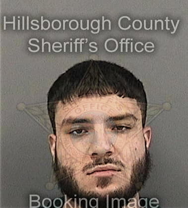 Rogelio Torresgarcia, - Hillsborough County, FL 