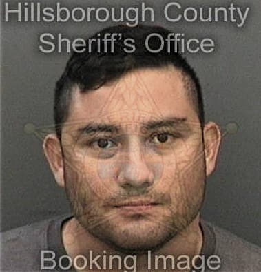 Seydler Bartolon-Berduo, - Hillsborough County, FL 