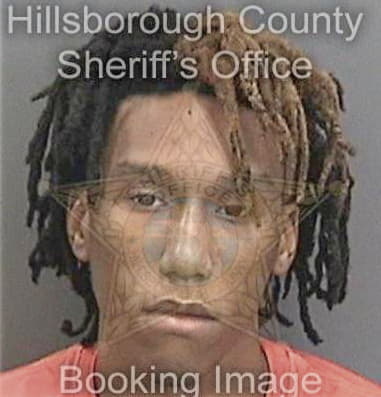 Nathaniel Bryant, - Hillsborough County, FL 