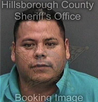 Candido Carrillo, - Hillsborough County, FL 