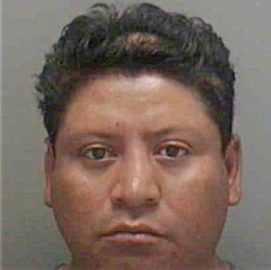 Elvis Collazo, - Lee County, FL 