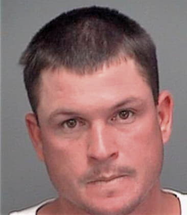 Michael Denooyer, - Pinellas County, FL 