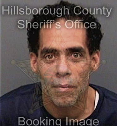 Carlos Hernandezsantos - Hillsborough County, FL 