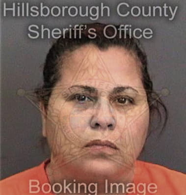 Jamie McGuire - Hillsborough County, FL 