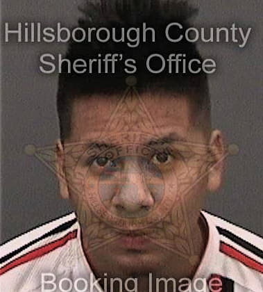 Anthony Pitts, - Hillsborough County, FL 