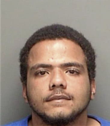 Yamin Vann, - Pinellas County, FL 