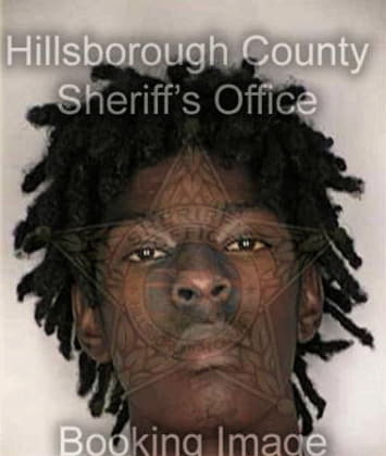 Adelabu Adeigbola, - Hillsborough County, FL 