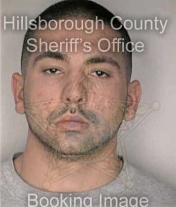 Stephen Chesser - Hillsborough County, FL 