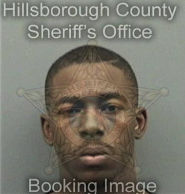 Michael Davis, - Hillsborough County, FL 