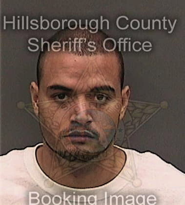 Curtis Hopkins, - Hillsborough County, FL 