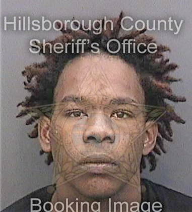 Ivansson Pierrelouis, - Hillsborough County, FL 