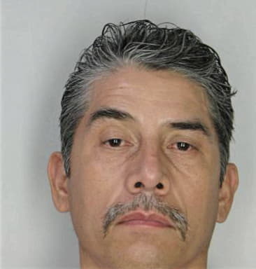 Hector Torres, - Hillsborough County, FL 