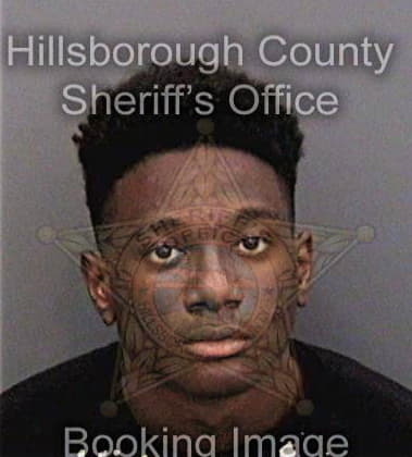 Patrick Alston, - Hillsborough County, FL 