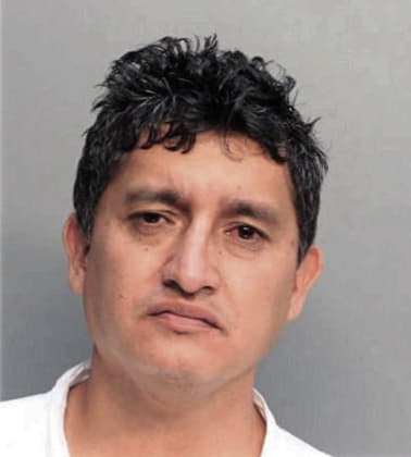 Jose Llerena - Dade County, FL 