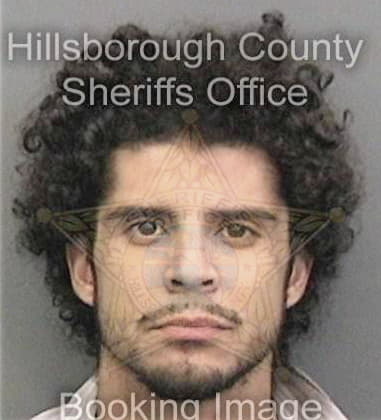 Juan Medinavelaquez - Hillsborough County, FL 