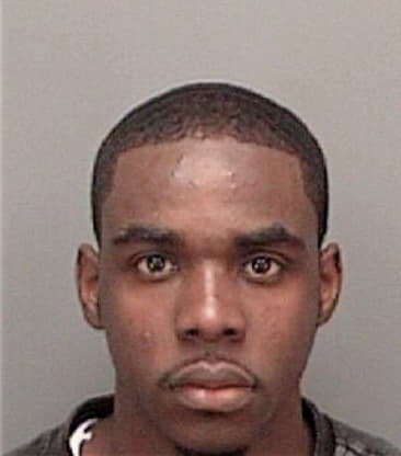 Segarius Patterson, - Pinellas County, FL 