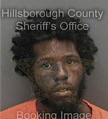 Timothy Williams, - Hillsborough County, FL 