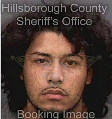David Cobb - Hillsborough County, FL 