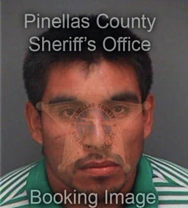 Alberto Lara, - Pinellas County, FL 