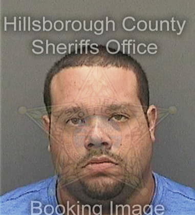 Michael Mohamed, - Hillsborough County, FL 