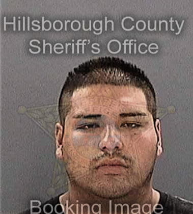 Ramiro Cruz, - Hillsborough County, FL 