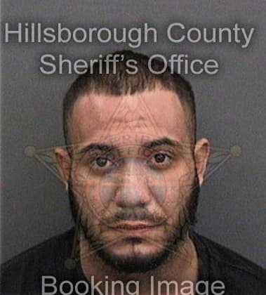 Nicholas Ingram, - Hillsborough County, FL 