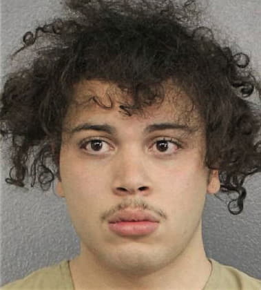 Francisco Morales-De-Jesus, - Broward County, FL 