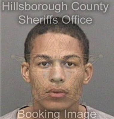 Jarvis Salary, - Hillsborough County, FL 