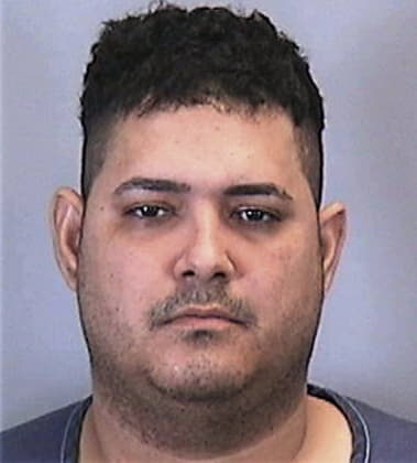 Aaron Vericella, - Manatee County, FL 