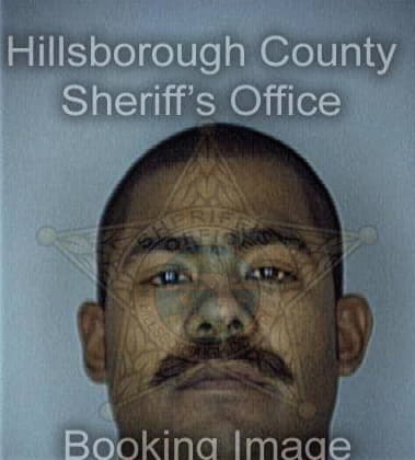 Michael Bosanko - Hillsborough County, FL 