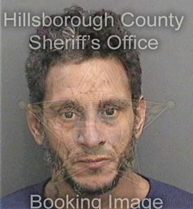 Louis Delvecchio, - Hillsborough County, FL 