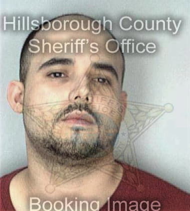 Jesus Gutierrez, - Hillsborough County, FL 