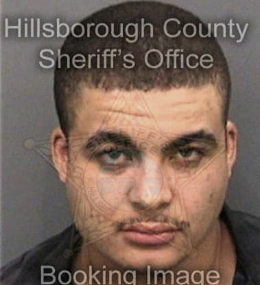 Devin Hamilton, - Hillsborough County, FL 