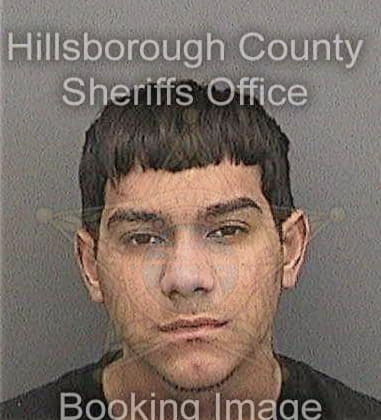 Ali Alassadi, - Hillsborough County, FL 