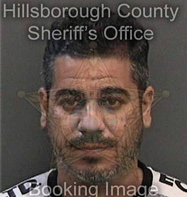 Julio Carcamo, - Hillsborough County, FL 