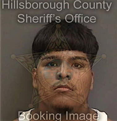 Aaron Davison, - Hillsborough County, FL 