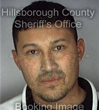 Russell Dipesa, - Hillsborough County, FL 