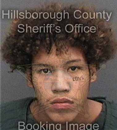 Francisco Gomez, - Hillsborough County, FL 