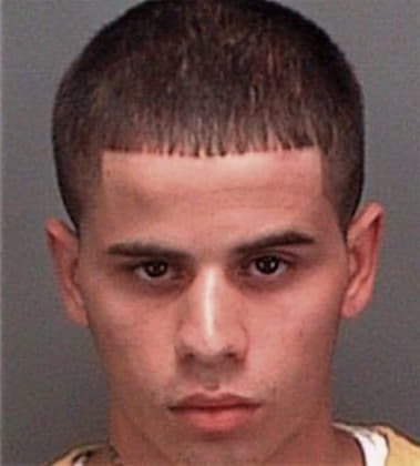 Martin Hodwalkermartinez, - Pinellas County, FL 