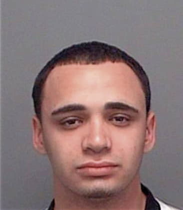 Jose Pantoja, - Pinellas County, FL 