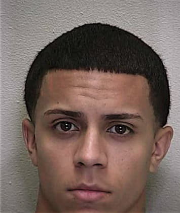 Candido Sanchez-Santizo, - Marion County, FL 