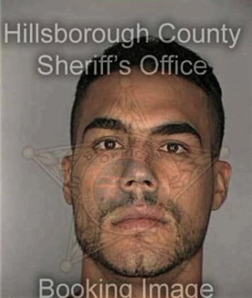 Michael Garcia, - Hillsborough County, FL 