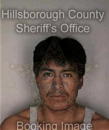 Fernando Hoyos, - Hillsborough County, FL 