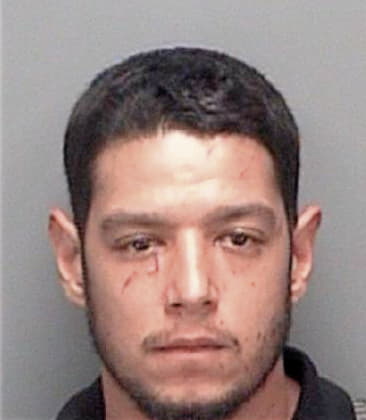 Rudolf McKinney - Pinellas County, FL 
