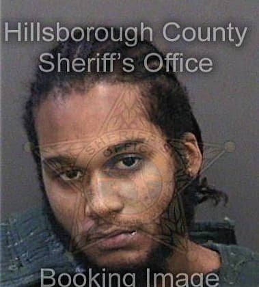 Sir Mickens - Hillsborough County, FL 