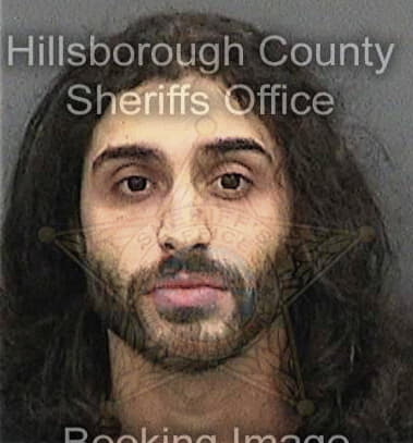 Jose Pomales, - Hillsborough County, FL 