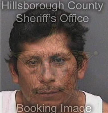 Reinaldo Seijo, - Hillsborough County, FL 